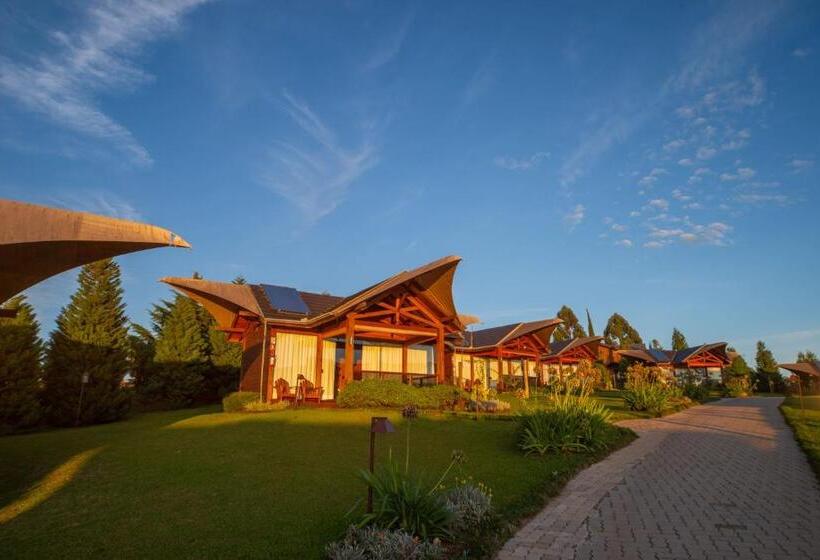 Бунгало Superior, Divisa Experience Resort