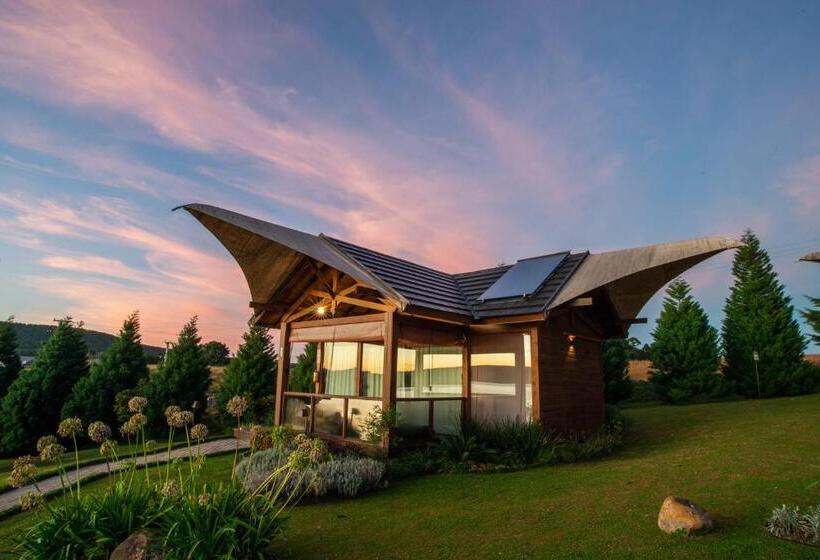 Бунгало Superior, Divisa Experience Resort