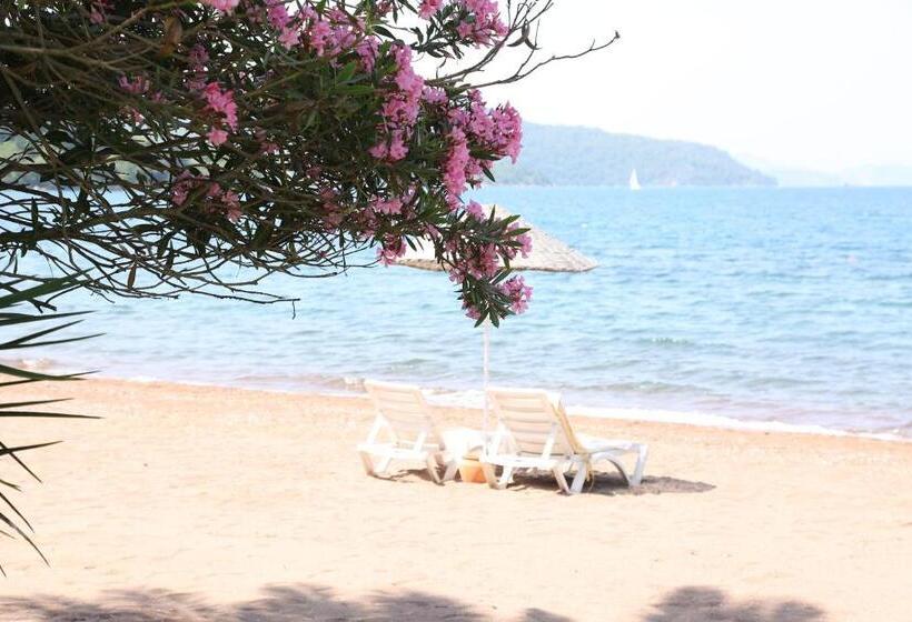带海景的复工套房, Golden Key Hisaronu