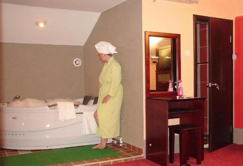 استودیوی لوکس, Vila Mitic Luxx Spa Centar