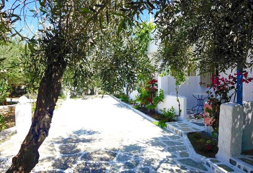 Бунгало Стандарт, Amaryllis Beach