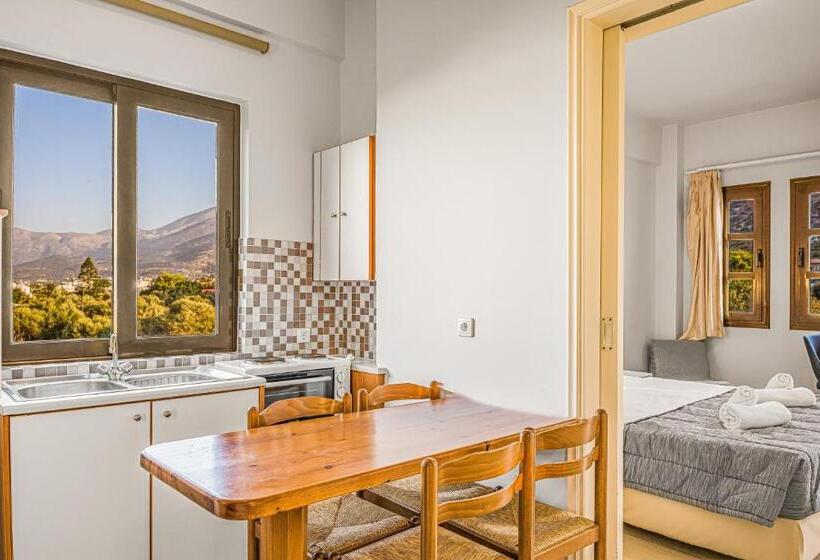 Апартаменты 2 Спальни, Paradise Hotel Apartments