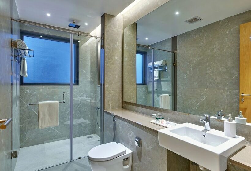 Номер Премиум, Regenta Place Raysons Kolhapur