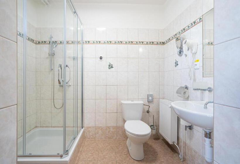 חדר סטנדרט, קומת קרקע, Penzion Balcony