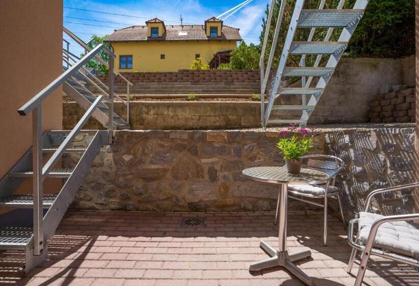 חדר סטנדרט, קומת קרקע, Penzion Balcony