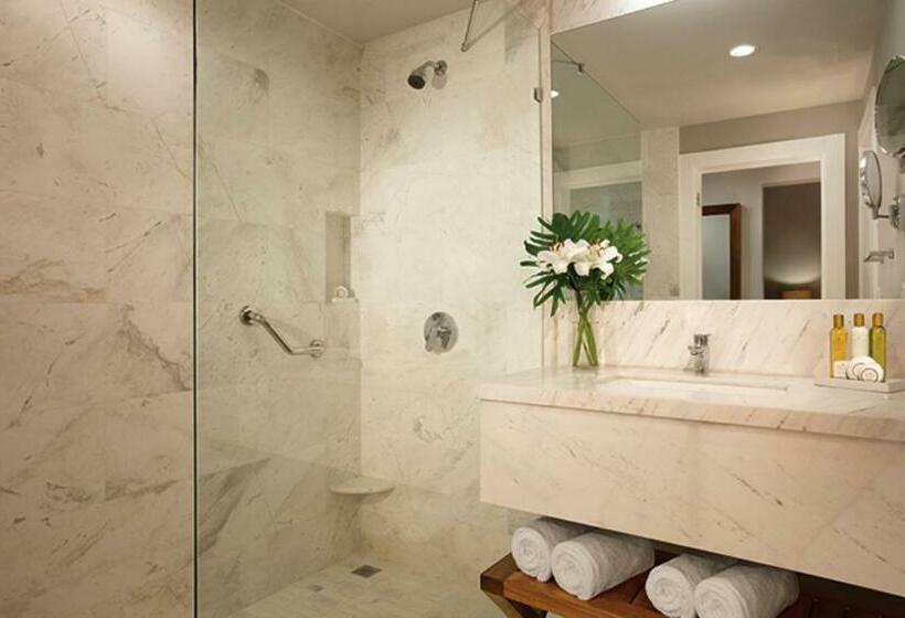 סוויטה, Dreams Dominicus La Romana Resort & Spa