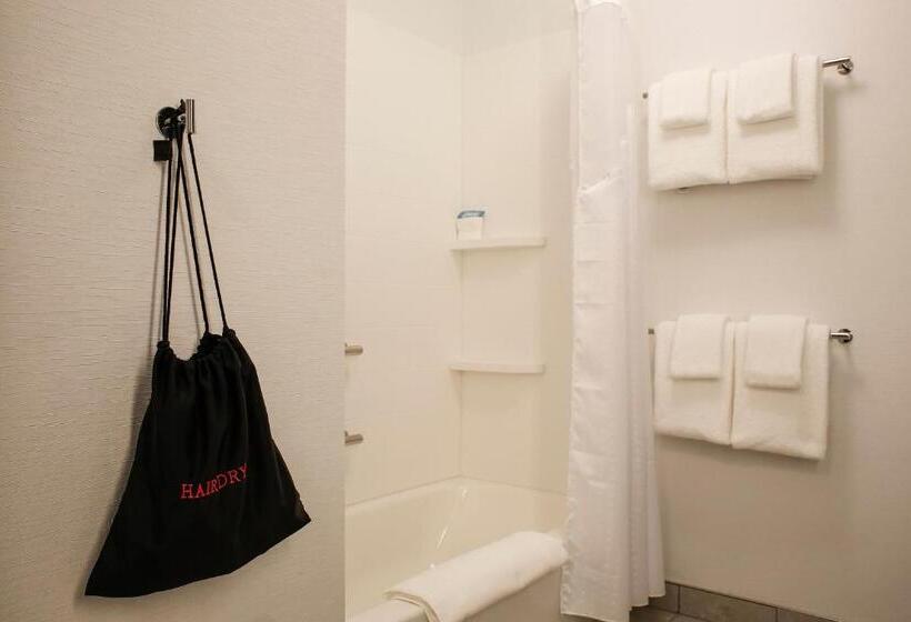 Quarto Estandar para Deficientes Físicos, Holiday Inn Express   Evansville, An Ihg
