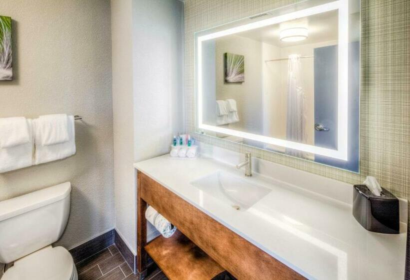 Люкс, Holiday Inn Express & Suites Cleveland/westlake, An Ihg