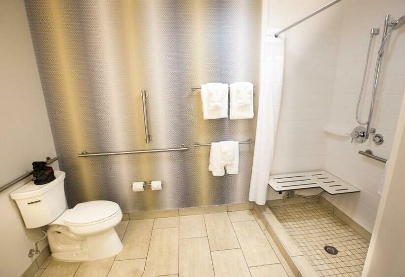 Номер Стандарт Кровать Кинг Адаптированный для Инвалидов, Holiday Inn Express & Suites Greenwood Mall, An Ihg