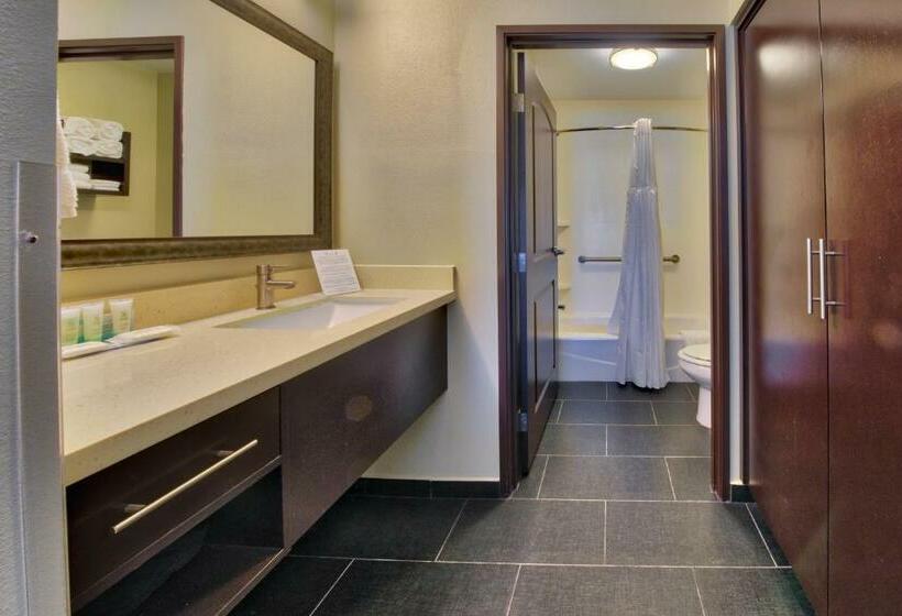 带大床的标准工作室, Staybridge Suites Lubbock South, An Ihg