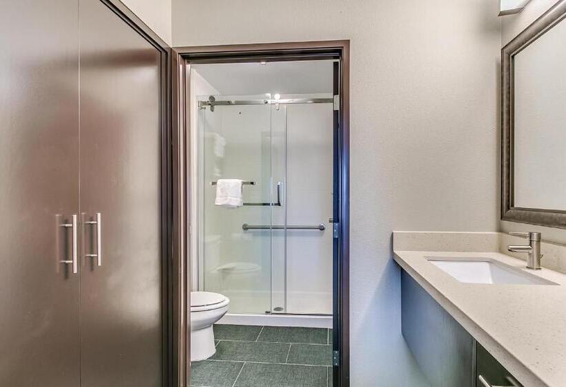 带大床的套房, Staybridge Suites Lubbock South, An Ihg