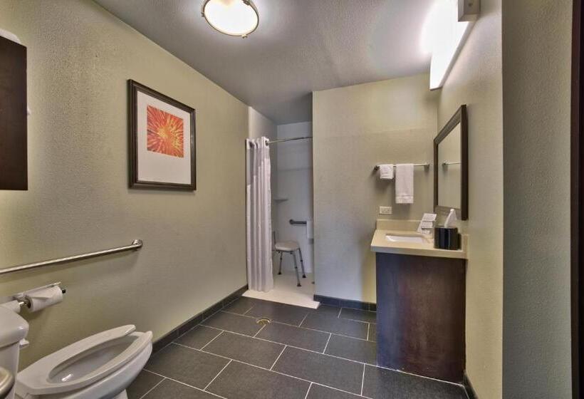 适合残疾人士使用的套间, Staybridge Suites Lubbock South, An Ihg