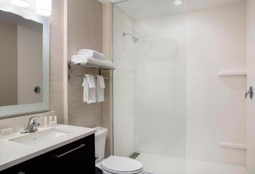 Люкс Кровать Кинг, Towneplace Suites By Marriott Miami Homestead