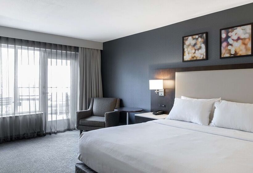 סטודיו דלוקס, Hilton Garden Inn Minneapolis University Area