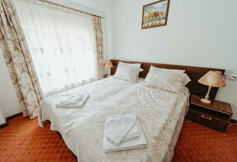 اتاق استاندارد, Complex Turistic Constantin Bucovina
