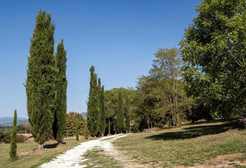 آپارتمان سوپریور 1 خوابه, Sasso Bianco