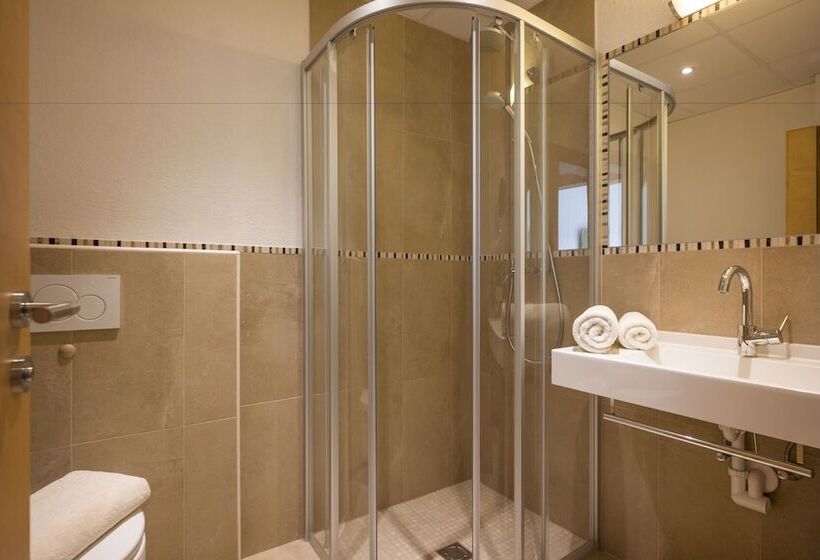 Номер Economy, Alpenhof Hotel Garni Suprême