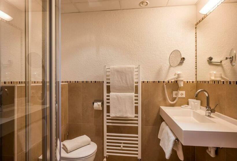 Классический Номер, Alpenhof Hotel Garni Suprême