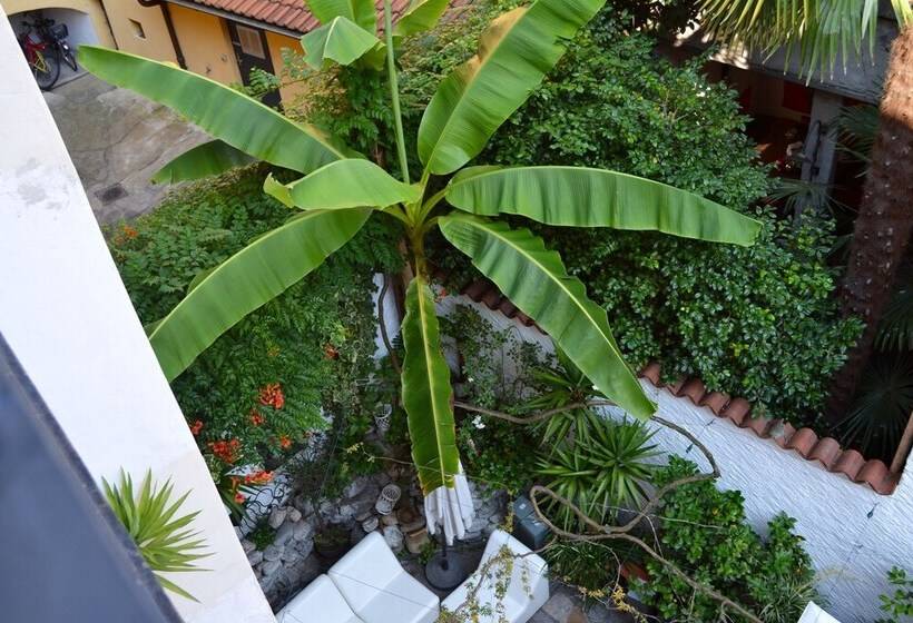 سوییت, Caffè Dell Arte Boutique Rooms Locarno