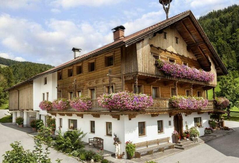 Апартаменты 1 Спальня с Видом, Oberhaslachhof