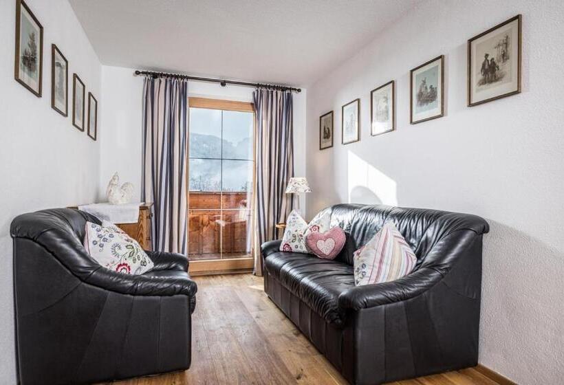 Апартаменты 1 Спальня с Видом, Oberhaslachhof