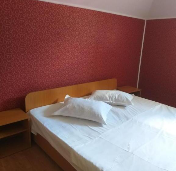 اتاق خانوادگی, Vila Ana Lăcrămioara Concept