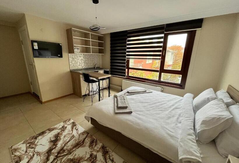 اتاق استاندارد, Brown