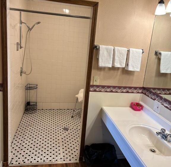 带大床的套房, Valley Inn And Suites