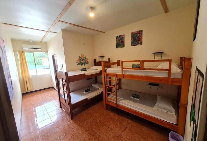 Кровать в Общей Комнате, Slow Monkey Hostel