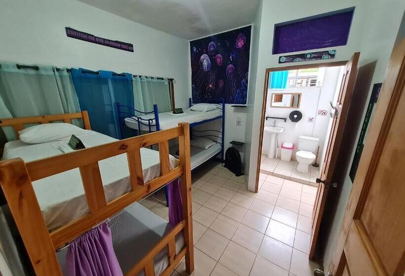 Кровать в Общей Комнате, Slow Monkey Hostel