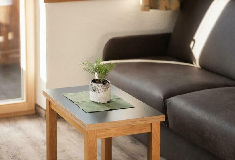 Номер Стандарт, Appartement Platzergasse