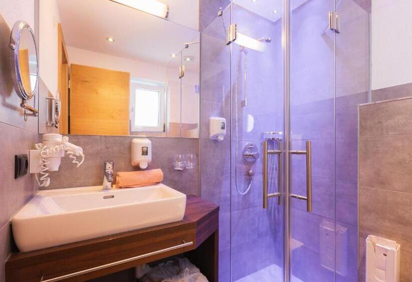 スタンダードシングルルーム, Appartement Platzergasse