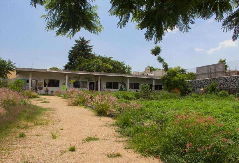 اتاق استاندارد با چشم‌انداز باغ, Casa De Huespedes Colmena