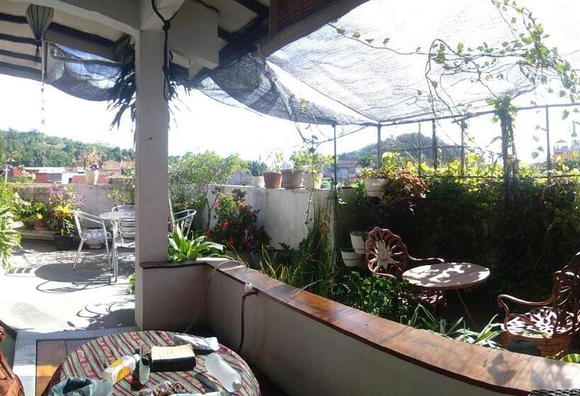 اتاق یک تخته با تراس, Nola S Homestay