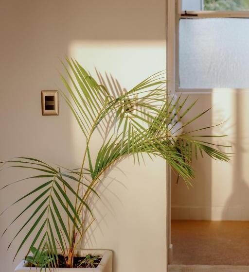 キングサイズベッドのスイートルーム, La Poza Boutique Hotel And Spa   Adults 15 Plus