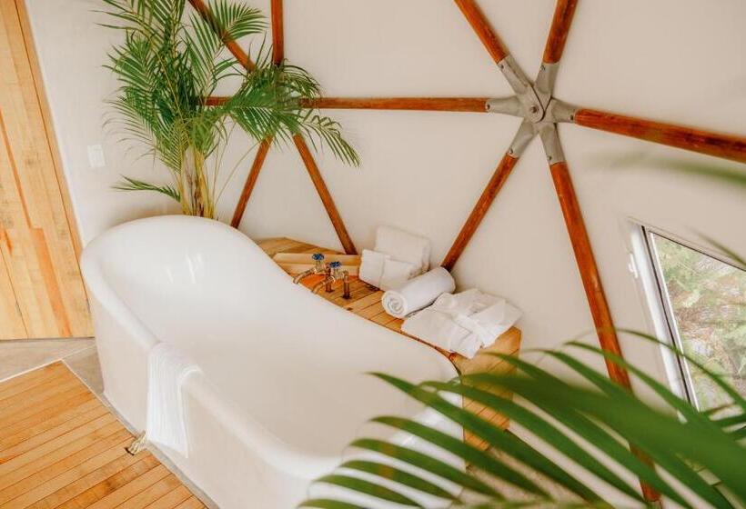 スタンダードバンガロー, La Poza Boutique Hotel And Spa   Adults 15 Plus