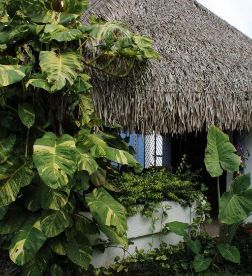 デラックスバンガロー, Bungalows Las Tortugas