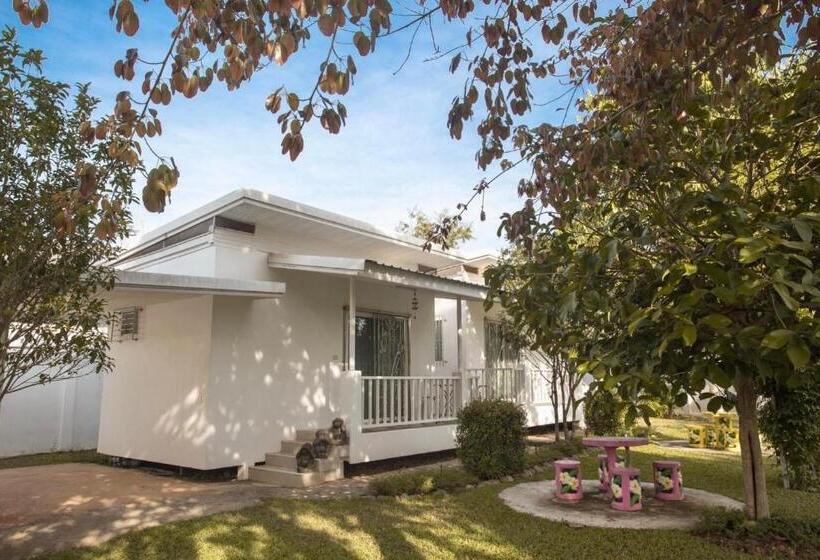 Economy Szoba, Treeside Guest House Resort