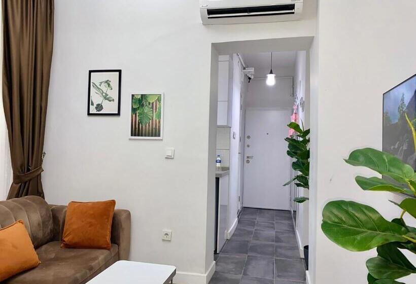 带1个卧室的豪华公寓, Flat In The Middle Of İsti̇klal