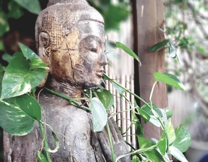 اتاق استاندارد, Blue Indigo Yoga Cambodia