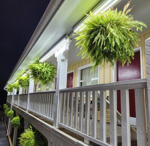 高级大房间, Homestead Motel
