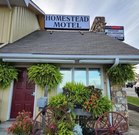 豪华房间, Homestead Motel