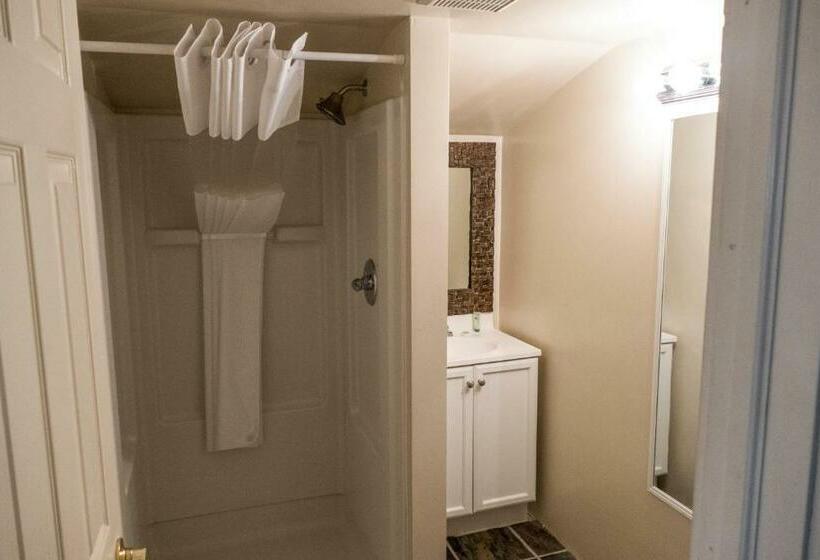 Номер Стандарт, Timber Ridge Lodge Ouray
