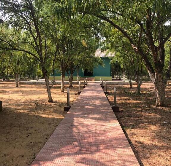 Номер Deluxe, Matoshree Green Stay Sariska