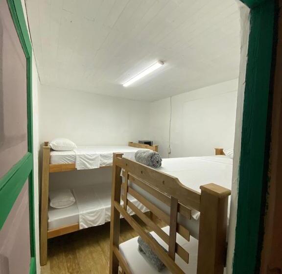 Четырехместный номер эконом класса с общей ванной комнатой, Origen Hostel Jardín