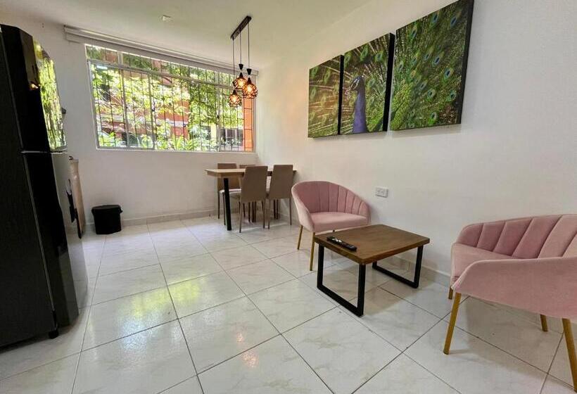 آپارتمان 2 خوابه, Apartahotel Rosedal