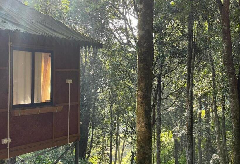 Номер Economy, 900 Woods Wayanad Eco Resort   A Sprawling Jungle Stay Near Glass Bridge