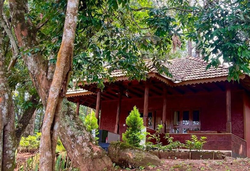 Номер Superior, 900 Woods Wayanad Eco Resort   A Sprawling Jungle Stay Near Glass Bridge