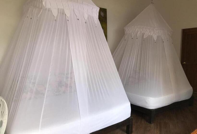 اتاق استاندارد چهار تخته, Buda Mar Zipolite