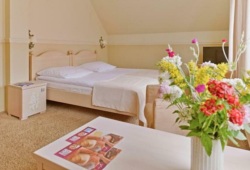 غرفة كومفورت, Afrodyta Spa & Wellness Resort